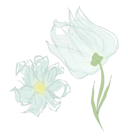 A translucent wispy blue flower